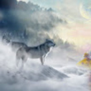 Meet your Posher, Angel